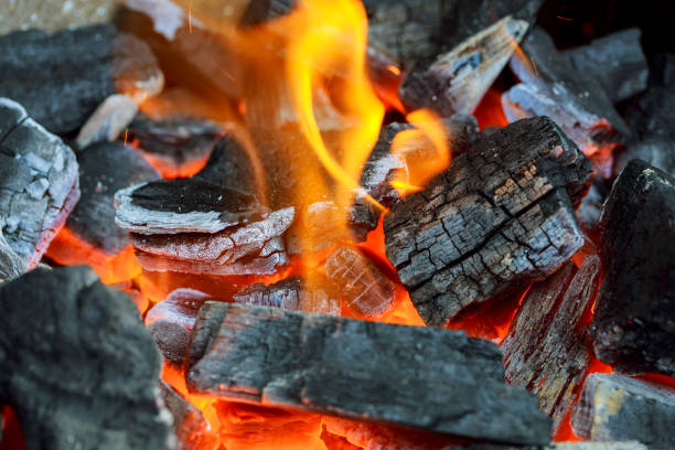 istock Burning wood and coal in fireplace 698143176