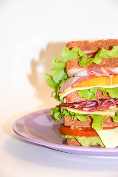 istock Tall sandwich violet plate beef pork tomato white background 698143190