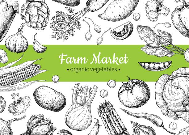 Vegetable hand drawn vintage vector illustration. Farm Market poster. Vegetable hand drawn vintage vector illustration. Farm Market poster. Vegetarian set of organic products. Detailed food drawing. Great for menu, banner, label, logo, flyer chili pepper border stock illustrations