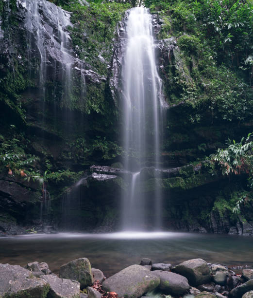 istock Waterfalls of Puerto Rico 698178352