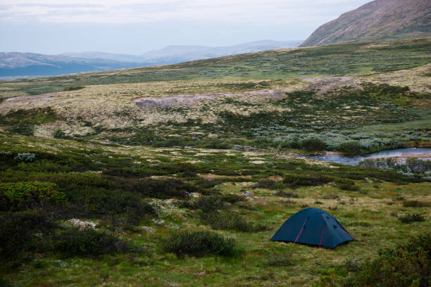 istock Dovrefjell–Sunndalsfjella National Park 698183928