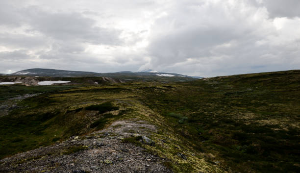 istock Dovrefjell–Sunndalsfjella National Park 698185784