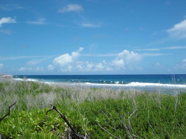 istock coastal beach in Cow Town, Marpi, Saipan 698186148