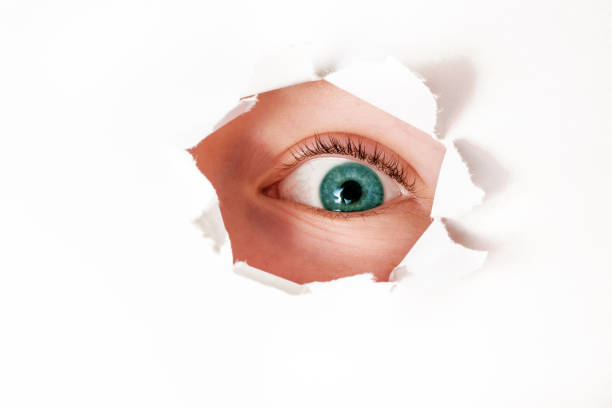 Black and white closeup young woman eyes, oil painting, white background with copy space, full frame horizontal composition