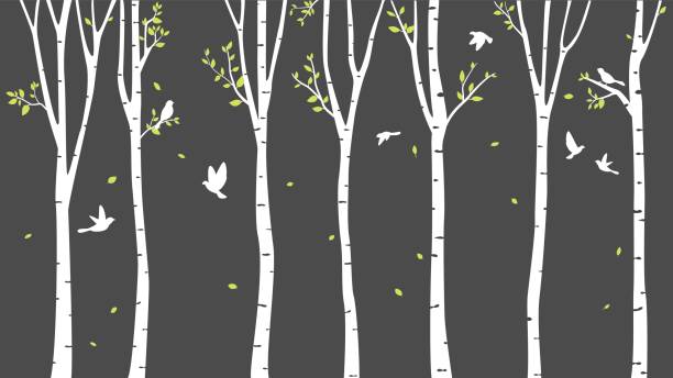 Birch Tree with deer and birds Silhouette Background Vector Illustration of Birch Tree with deer and birds Silhouette Background birch bark background stock illustrations