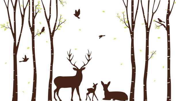 Birch Tree with deer and birds Silhouette Background Vector Illustration of Birch Tree with deer and birds Silhouette Background birch bark background stock illustrations