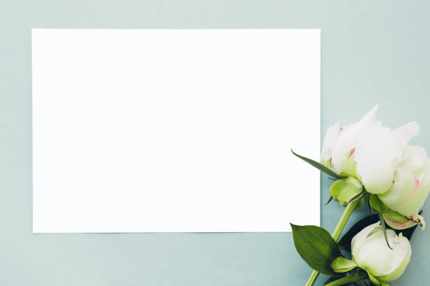 istock flat lay Peonies flowers and blank white sheet on blue background, top view. mock up 698202552