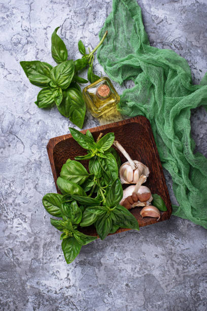 istock Fresh green basil with garlic and olive oil 698213360