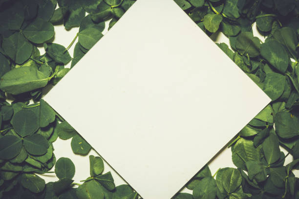 istock Creative layout made of clover green leaves. Flat lay. Nature background 698231220