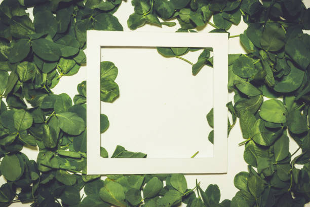 istock Creative layout made of clover green leaves. Flat lay. Nature background 698231286