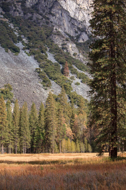istock Yosemite Valley scenic view at the Indian Summer 698325158