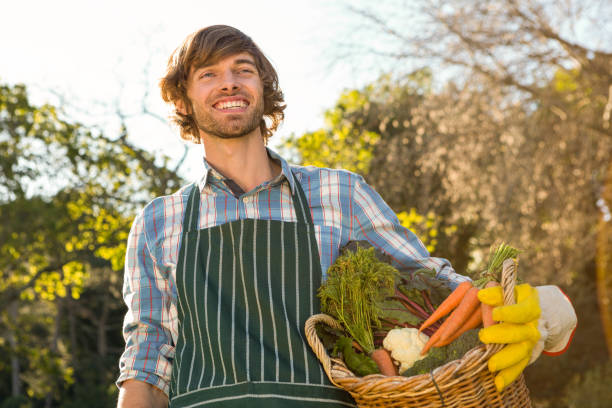 istock Gardener man holding a basket of vegetables 698355374