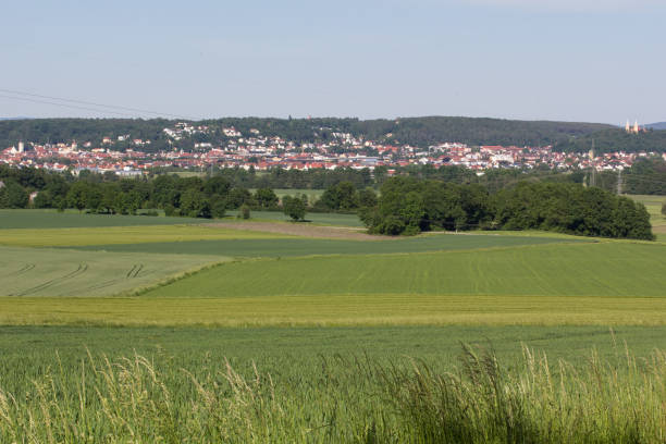 istock Schwandorf in bavaria 698360368
