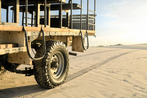 istock Side of a 4x4 car and the track left by it 698360976