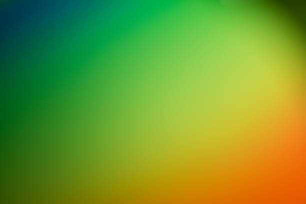 istock The image is out of focus 698361382