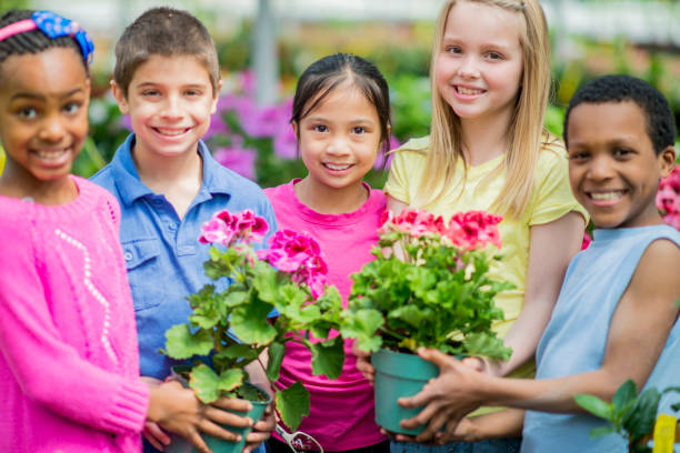 istock Schoolchildren Enjoying Gardening Inside a Greenhouse 698372034