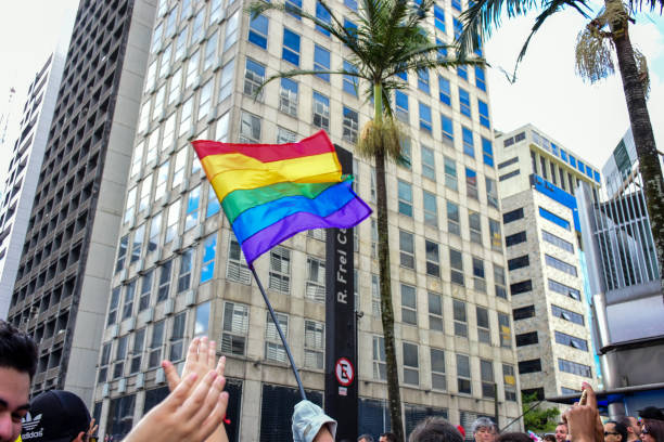 duma lgbt 2017 sao paulo - homosexual gay pride business rainbow zdjęcia i obrazy z banku zdjęć