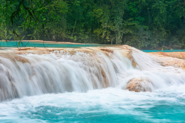 istock Blue Water waterfalls. Blue Water. Yucatan. Mexico 698389198