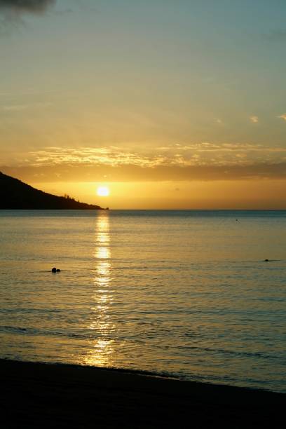 istock Horseshoe Bay, Magnetic Island, Queensland, Australia 698396896