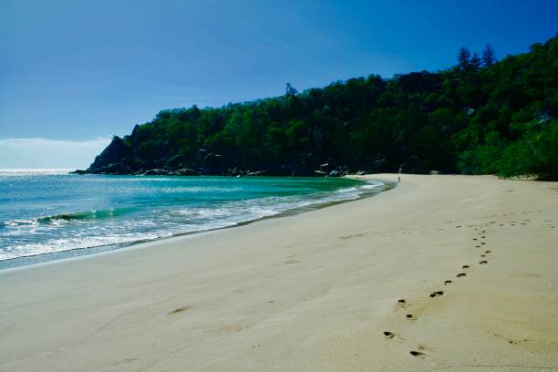 istock Radical Bay, Magnetic Island, Queensland, Australia 698403512