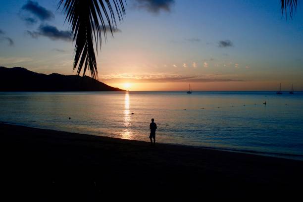 istock Horseshoe Bay, Magnetic Island, Queensland, Australia 698403564