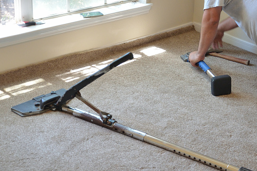 working installing new carpet showing tools