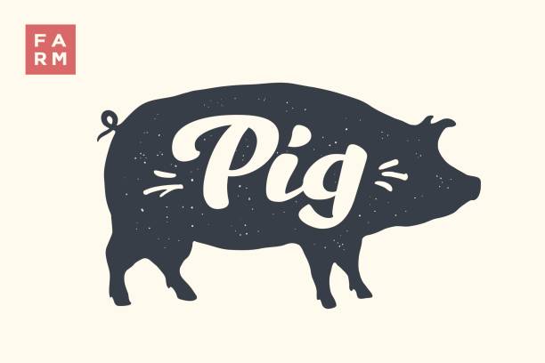 Isolated pig silhouette with lettering Farm animals set. Isolated pig silhouette and words Pig, Farm. Creative graphic design with lettering Pig for butcher shop, farmer market. Poster for animals theme. Vector Illustration pig silhouettes stock illustrations