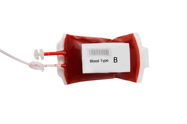 bag of blood and plasma isolated on white background, a - blood bank imagens e fotografias de stock