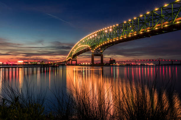 istock Dock days of Summer in Florida 698480158