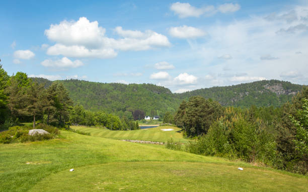 istock Landscape on Bjaavann golf course with green grass, trees, beautiful blue sky, panorama 698508684