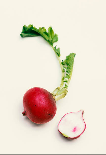 istock Aerial view of fresh radish on white background 698519116
