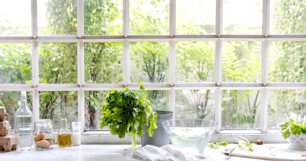 istock Eggs and washed vegetable by the glass window 698529640