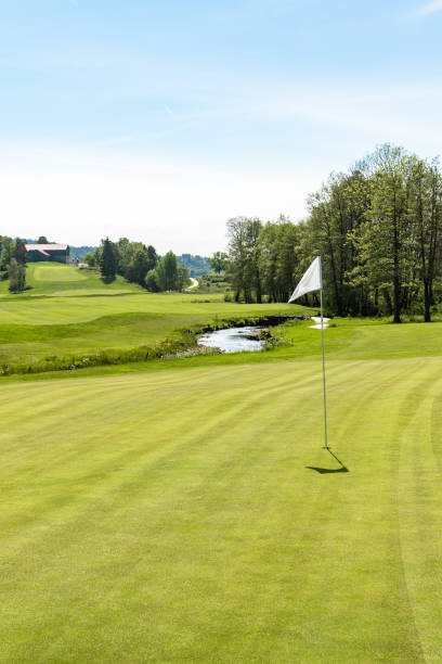 istock Golf course. Hole with a white flag on a sunny day 698531498