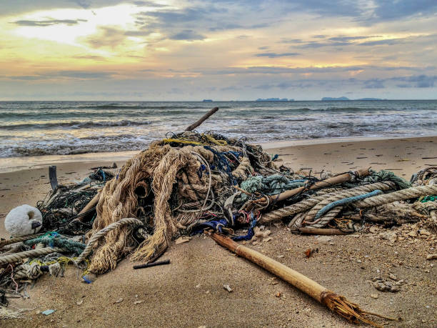 Large amounts of discarded fishing net and rope has been washed up on the beach at Ko Lanta, Krabi, Thailand.  These abandoned or obsolete items become dangerous garbage, polluting the Ocean, referred to as ‘Ghost Nets.’  Ghost Nets are responsible for the deaths of huge amounts of Marine Life every year, through entanglement and consumption.  On the horizon the famous Phi Phi Islands can be seen.  This image was taken with an iPhone.