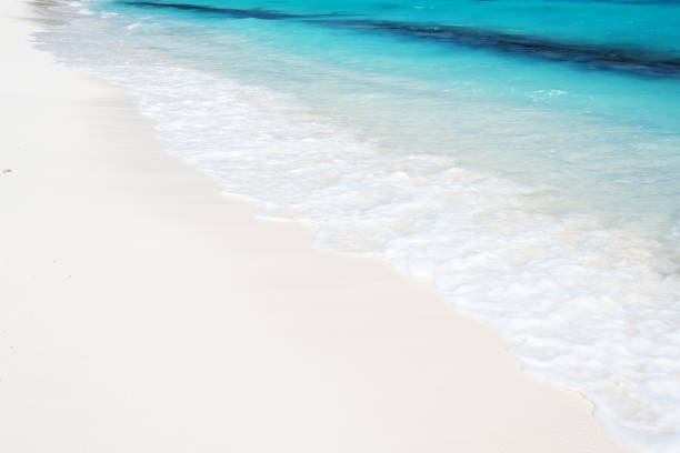 istock Tropical beach and sea waves background 698545444