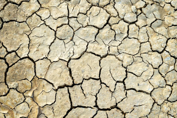istock abstract background rift of soil Climate change and drought land 698552264