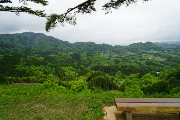 istock Sitting bench under big tree on hilltop with greenery mountain panorama view 698552444