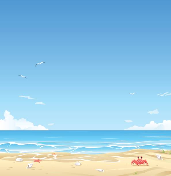 White Sand Beach Vector illustration of a beautiful white sand beach with cloudy blue sky in the background. Illustration with space for text. sand illustrations stock illustrations