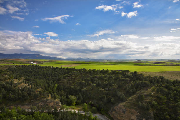 istock The park in suburb of Madrid 698569236