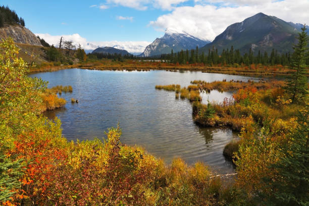 istock The lake in the Rocky Mountains 698569252