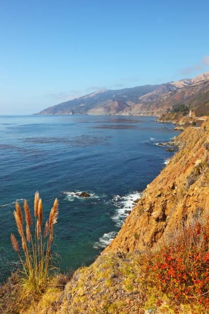 istock The mountain road on Pacific coast 698569488