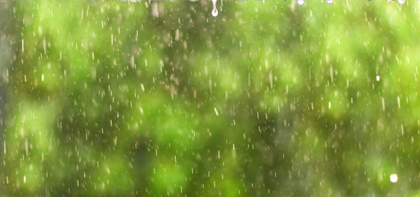 istock Rainy day, Rain drops on side building natural green background 698583046