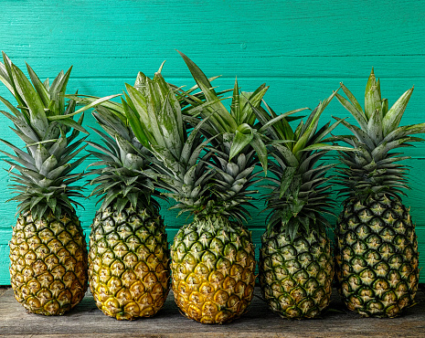 A fresh colorful two-headed tropical pineapple standing in the center of a row of other pineapples on a rustic wooden table against a turquoise wooden walled background.  Some copy space above the fruit.