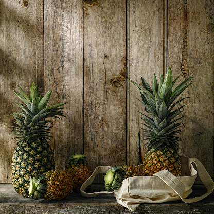 Market fresh tropical pineapple standing next to more pineapples in a reusable cotton bag on a rustic wooden table against a weathered old wooden panel walled background. Good copy space above and in the middle of the the fruit.