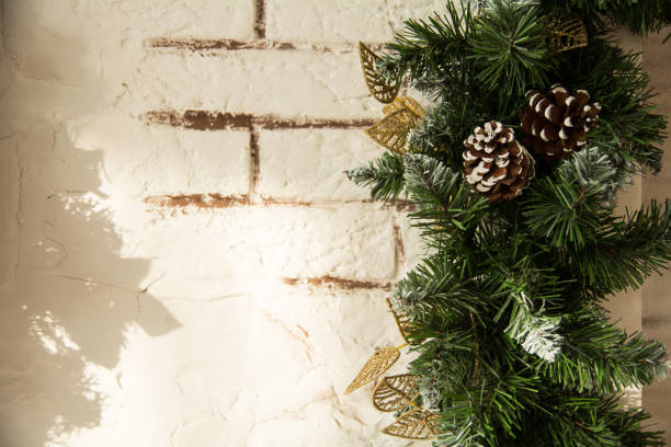 Close up of the Christmas tree branches Close up of the Christmas tree branches with cones on a background of a brick wall. pine log state forest stock pictures, royalty-free photos & images