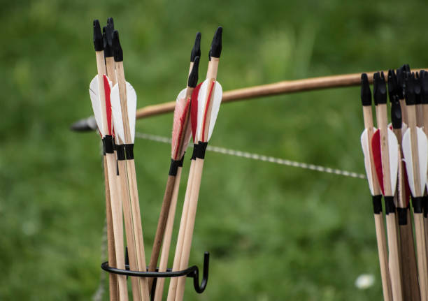 istock arrows and quivers stored for a firing match. 698594790