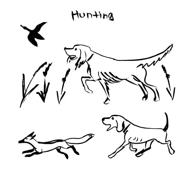 Vector illustration of Hand Drawn Vector Dogs Set, Hunting Dogs. Ink Illustration.