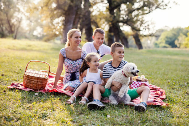 istock Family having picnic in park together 698608884