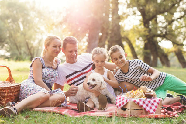 istock Family on a picnick together 698609566