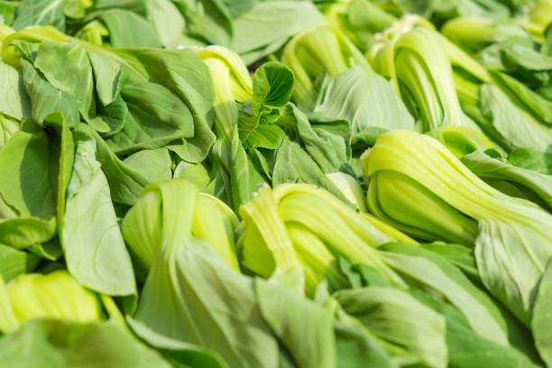 Pak choi fresh healthy vegetable at a farmer's market